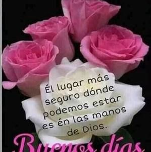 Meet your Posher, Rafael